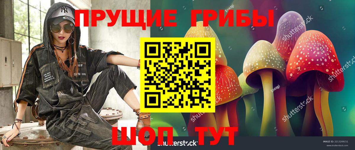 Пенза  Галлюциногенные грибы Magic Shrooms  Вход с VPN  Галлюциногенные грибы прущие грибы 